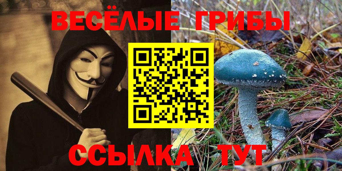 Галлюциногенные грибы MAGIC MUSHROOMS Карталы